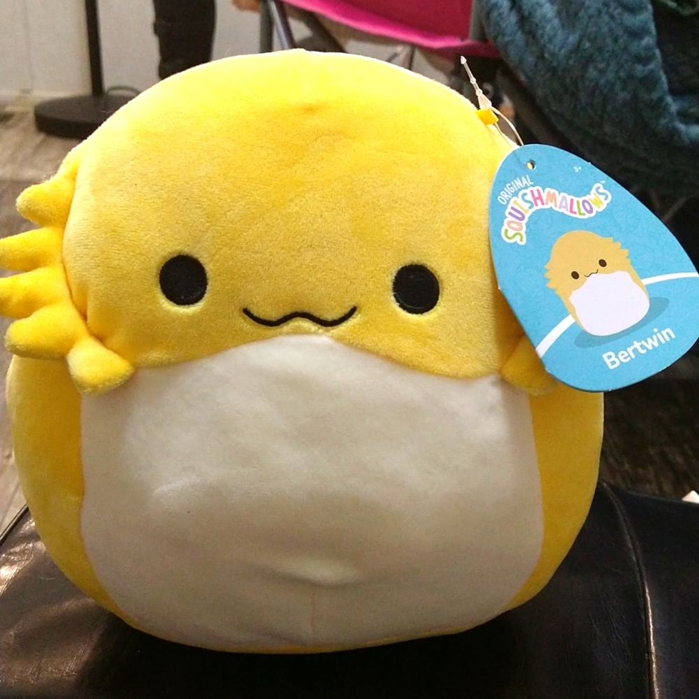 Squishmallows